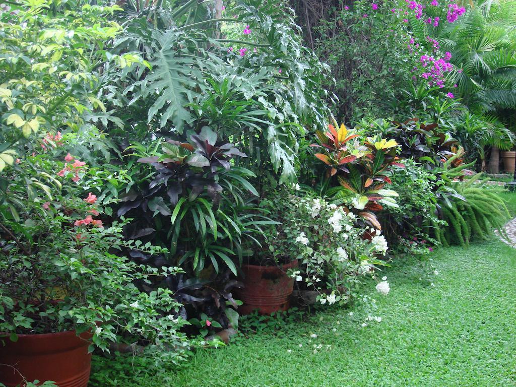 Quinta del Gobernador Cuernavaca Exterior foto